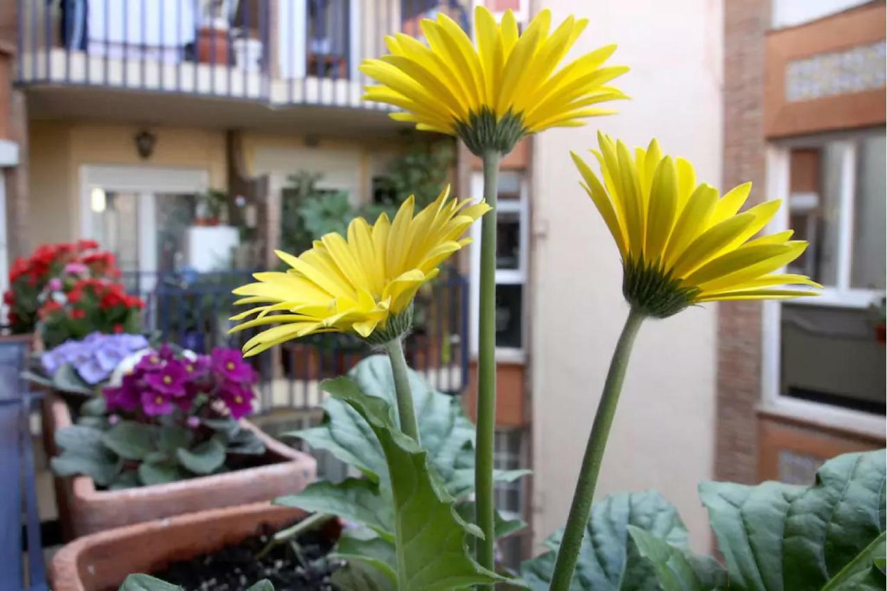 Apartamento Azahara Córdoba Kültér fotó
